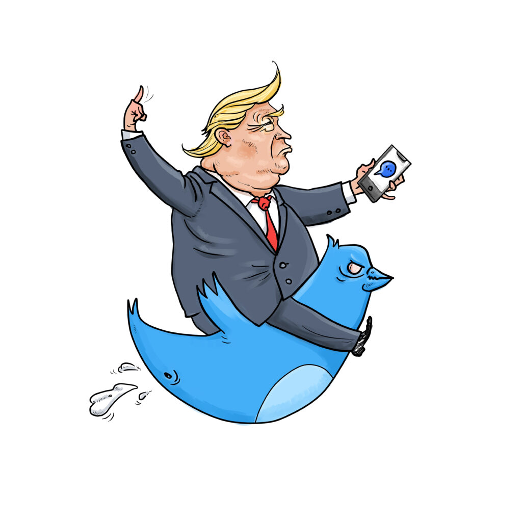 Picture of Donald trump on bird